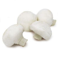 Fresh Cup Mushrooms-1x2.5kg